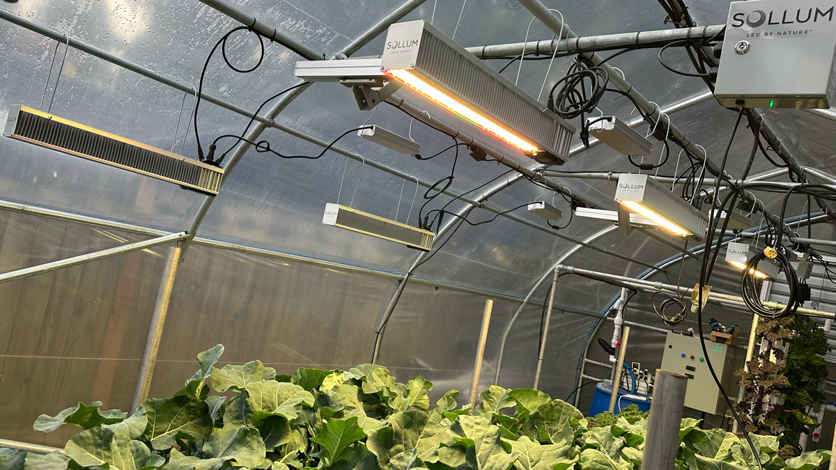 Greenhouse Wiring Birmingham Logo